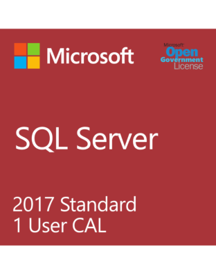 Microsoft SQL User CAL 2017 (License only)