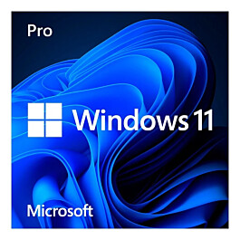 microsoft-windows-11-pro.jpg