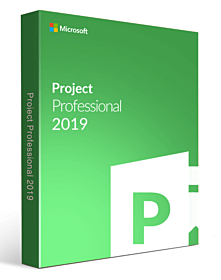 Microsoft	Project 2019 Professional